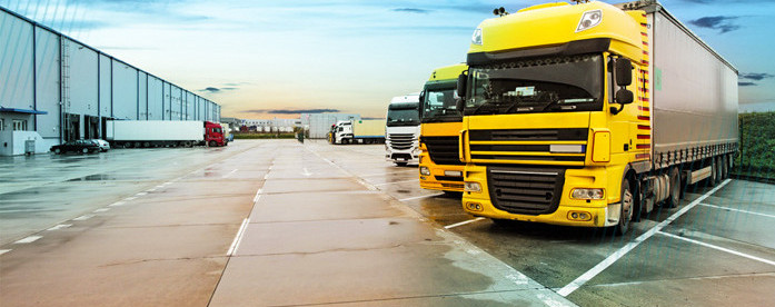 A yard with parked trucks on the right and a warehouse on the left, where several loading docks are open and trucks are being unloaded.