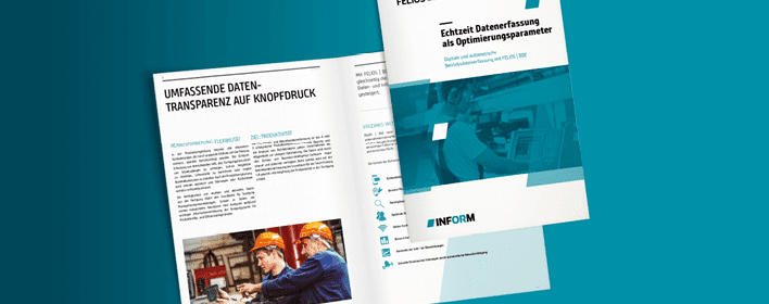 Vorschau FELIOS | BDE Broschüre