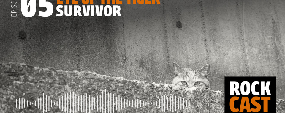 A cat peeking out from behind a stone wall. Overlay text reads "Episode 05 Eye of the Tiger Survivor." 