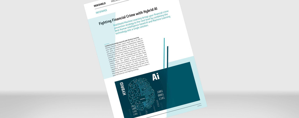 Visualization of the Info Paper "Fighting Financial Crime with Hybrid AI"