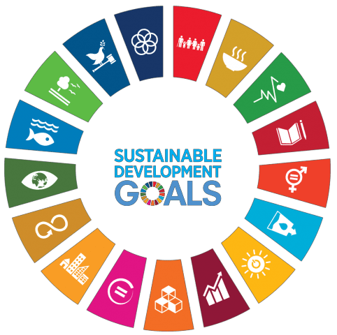THE 17 UN-SUSTAINABLE DEVELOPMENT GOALS (SDGS)