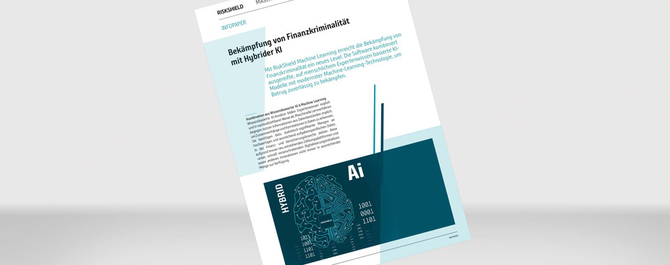 Visualisierung unseres Info Papers "RiskShield Machine Learning"