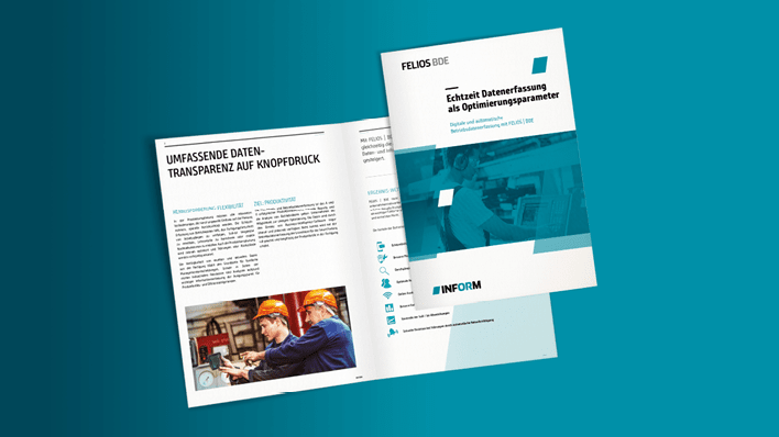 Vorschau FELIOS | BDE Broschüre