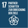 sdg17