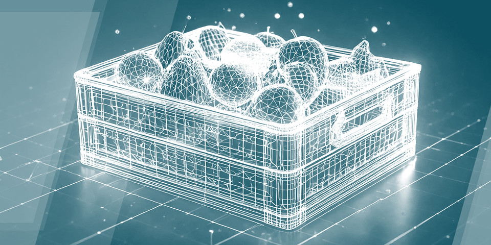 3D wireframe illustration of a basket filled with fruits, showcasing modern digital design concepts.