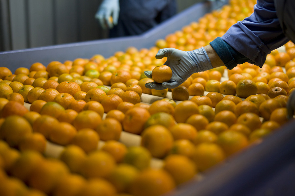 Mandarin sorting as a metaphor for Transaction Sanction Screening: real-time checks, fewer false positives, compliance.