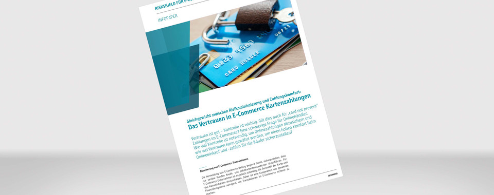 Visualisierung unseres Info Papers "Das Vertrauen in E-Commerce-Kartenzahlungen"