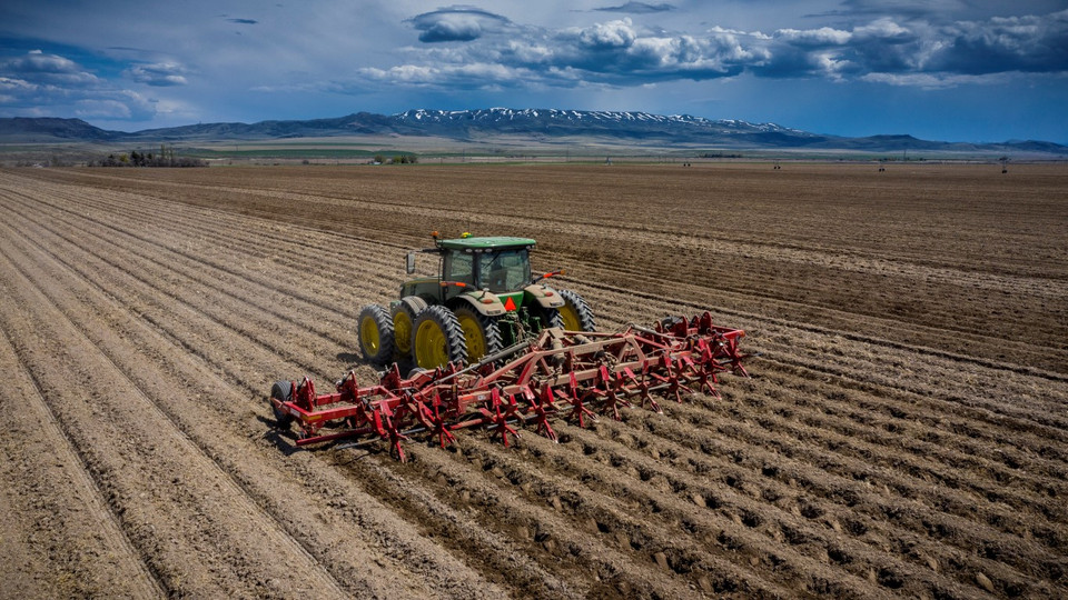 Grafik zeigt Umfrageergebnisse zur Nutzung von KI-Agenten in Logistik und SCM mit aktuellen Herausforderungen.