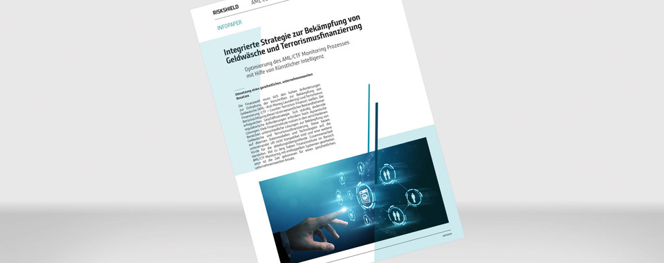 Visualisierung unseres Info Papers "Integrierte Strategie zur Bekämpfung von Geldwäsche und Terrorismusfinanzierung"