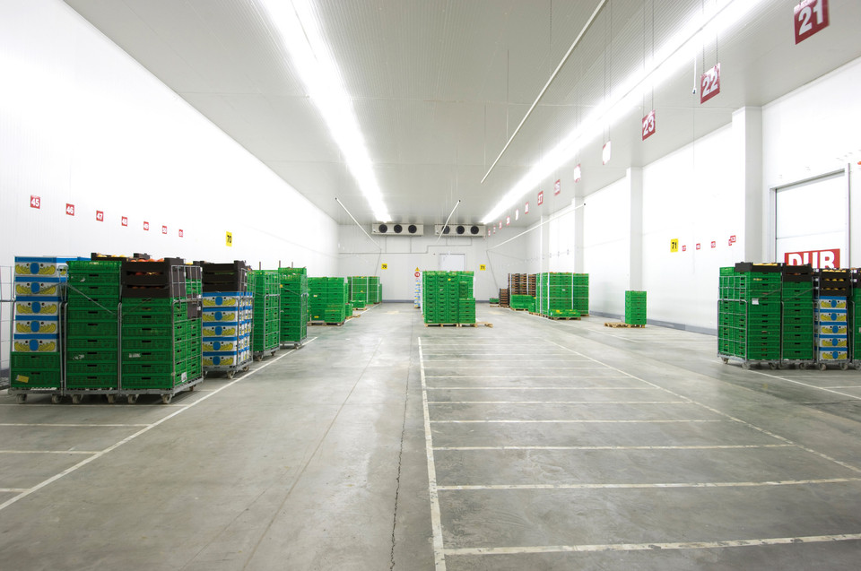 Gemüsetheke in einem Supermarkt.